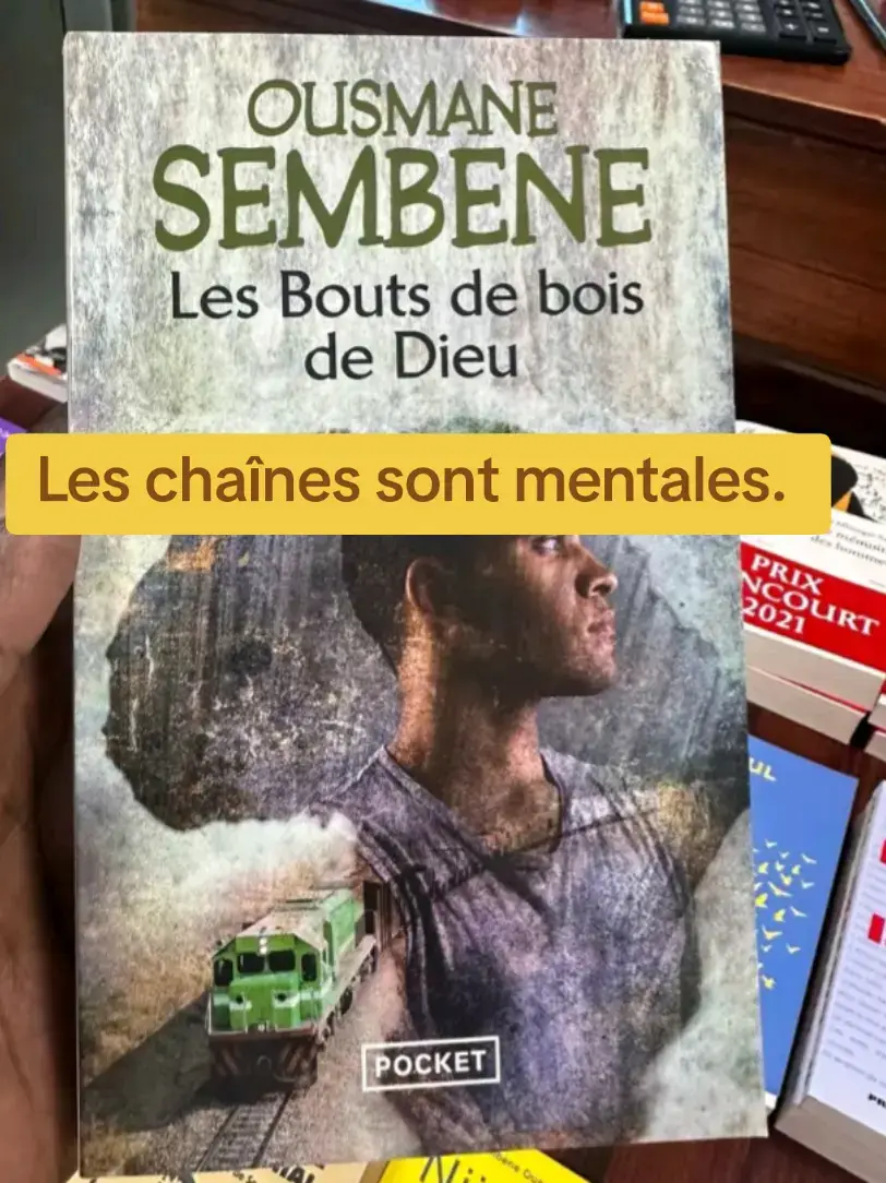 On croit que l’esclavage est fini, mais il a changé de visage. Les chaînes ne tintent plus aux chevilles, elles s’accrochent aux esprits dociles. Ce n’est plus le fouet qui gouverne, c’est la peur de perdre, la peur de manquer. On ne ligote plus les bras, on formate les pensées. La vraie servitude n’a pas besoin de maître : il suffit que l’homme renonce à dire non. #senegalaise_tik_tok #sembemeousmane #lesboutsdeboisdedieu #book 