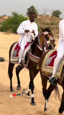 نواره سالم🔥❤️🐴 #عقدصرمان #المركز #تصويري_احترافي_الاجواء👌🏻🕊😴 #اكسبلوررررر_لايك_متابعه_كومنت_فولو_نشر👍🏻 #اكسبلوررررر_لايك_متابعه_كومنت_فولو