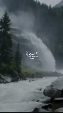 ما کان لنا لحظة الوحش مع تلاوة القرانکریم لكم وإلى الأبد كما ترى من فضلك اتبع صفحتي في هذا الحساب غفر لنا الله وسيذهب إلينا جنت فردوس أمين  #shorts #reels #Quran_alkarim #Recitation #Quran  😍😍😍❤️🎧🖤