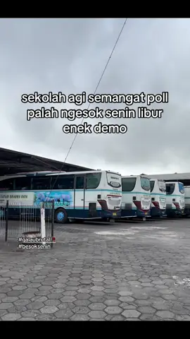 kecewa beratt ciahh 😞#fyp #besoksenin #kecewaberat #temanggung24jam 