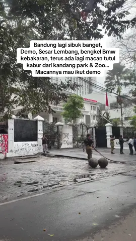 Suasana gedung DPRD hari ini, bandung minggu lalu lintas terpantau lancar… #demo #promomakangajian #fyp #explorebandung #infobandung 