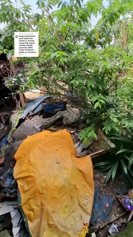 Membalas @qilakiehlAlhamdulillah terimakasih teman teman semua yang sudah memberi rezeki untuk abah yayat,hari ini tepatnya di tanggal 31 agustus saya dan teman2 saya menyempatkan utuk mendatangi kediamah abah yayat,yang dimana kondisinya sangat memprihatinkan,alhamdulillah donasi yang sudah terkumpul saya berikan untuk pengobatan hernia abah yayat dan keperluan lainya disaksikan oleh ketua rw dan pengurus setempat di madrasan dikarnakan di rumah abah yayat tida memungkinkan,sekalilagi terimakasih kepada teman2 semua yang sudah memberikan rezekinya untuk abah yayat semoga allah membalas kebaikan teman2 semua#darirakyatuntukrakyat #fyp #donasi #promomakangajian @partaigerindra 