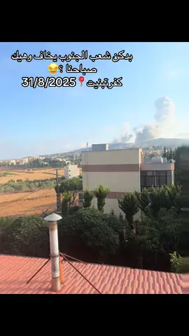 #fyppppppppppppppppppppppp #foryou #جنوب #لبنان #southlebanon 