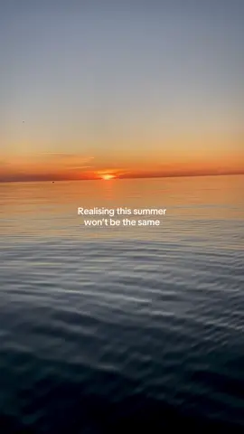 Apocalypse right on our doorstep.  Millions of fish and thousands of marine mammals such as dolphins and seals are being wiped out and washing up every single day for months now.  #fyp #australia #nature #Summer #fish 