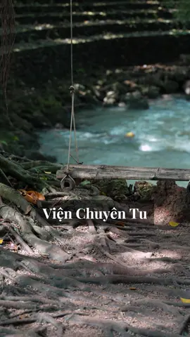 📍 Viện Chuyên Tu khoảnh khắc tưởng chừng lạc vào xứ sở thần tiên nào đó 🧚  #phatphap #phatphapnhiemmau #dichuachua #vienchuyentu 