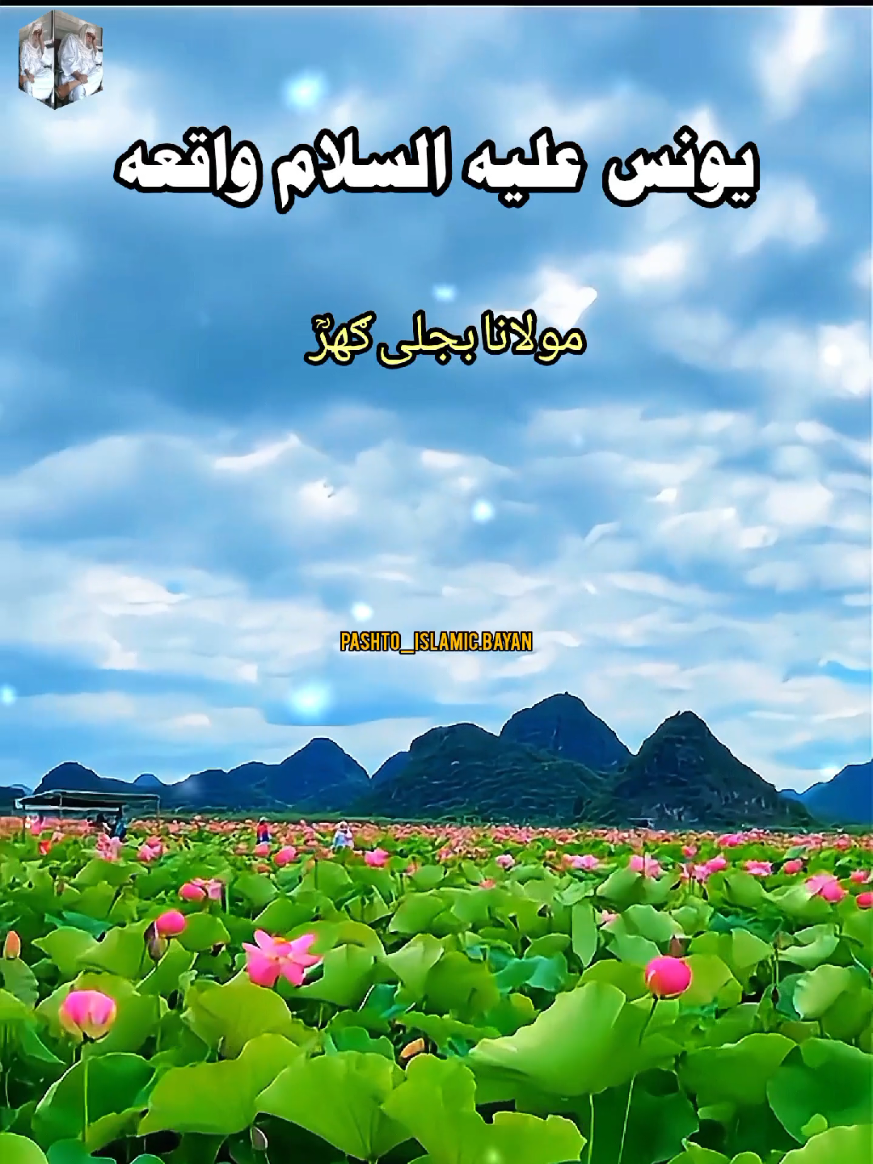 یونس علیہ السلام واقعہ پشتو بیان مولانا بجلی گھر صاحب pashto bayan Molana bijligar sahb #pashtobayan #مولانا_بجلی_گھرؒ_صاحب #islamic_video #foryou #fyp 