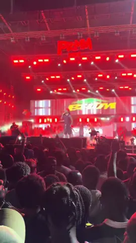 A true performer, a true king. Stonebwoy keeps raising the flag higher 🇬🇭✨ @PramFest @STONEBWOY 