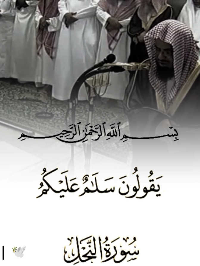فضيلة الشيخ سعود الشريم حفظه الله 🤍 سورة النحل الآية ٣٢-٣٥📖 #سعودالشريم #الشيخ_سعود_الشري #سورة #quranrecitation #islamic_video #bismillah 