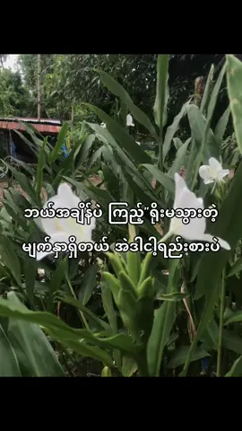 ရိုးမသွားဘူး#fypシ゚viral🖤tiktok #ရောက်ချင်တဲ့နေရာရောက်👌 #ဒါလေးတော့fypပေါ်ရောက်ပါကွာ 