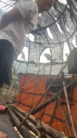 Thấy chủ sang tưởng lảng chứ 🤣