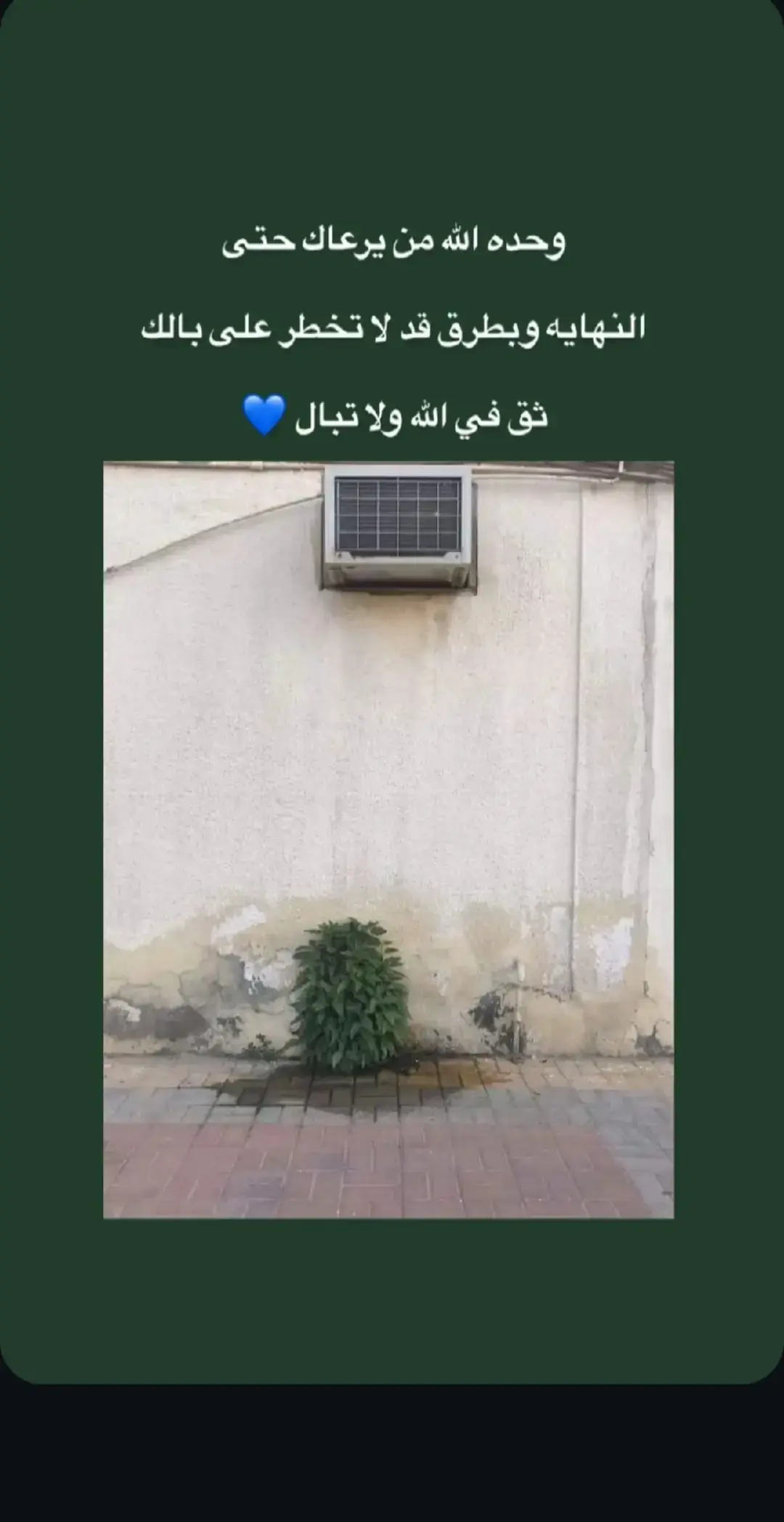 #يالله #الهم_صلي_على_محمد_وأل_محمد #اللهم_عجل_لوليك_الفرج #مشاهدات #