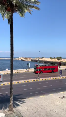 يالي عيونك شمعه وضحكه وبحر ونسمه صيف 🤍😍#explore #خروجات_اسكندرية #تصويري #alexandria #fyp 