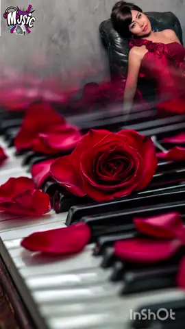 #musician #عازف الليل#شيرين#