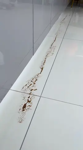 #tiktokshop 