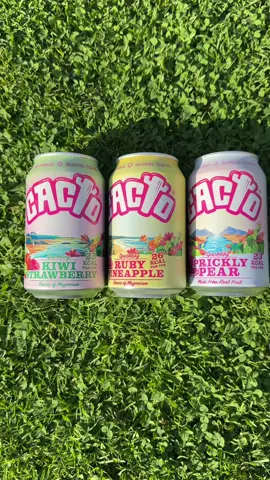 🌵✨ Sip Sustainably. Sparkle Naturally. ✨🌵 Meet your new hydration obsession @CACTO The Real Cactus Water. 💧 These are not your average drink. They are bold, bubbly, and born from the prickly pear 🍐🌈 not from concentrate, not from compromise. Just pure, planet friendly refreshment that tastes as good as it feels. 🏆 Award winning flavour 💚 Eco conscious hydration ⚡ Natural electrolytes 💥 Zero junk. All joy. With 3 mouthwatering flavours to choose from: 🍓 Kiwi & Strawberry – juicy, fresh, and feel good 🍍 Ruby Pineapple – sweet, tangy, tropical vibes 🌵 Prickly Pear – the OG desert gem Ditch the sugar laden sodas and heavy coconut waters. CACTO is light, crisp, and clean, a sparkling upgrade your body will thank you for. 💬 Real fruit. Real hydration. Real good. #drink #cactuswater #sparkling #hydratio #gifted 