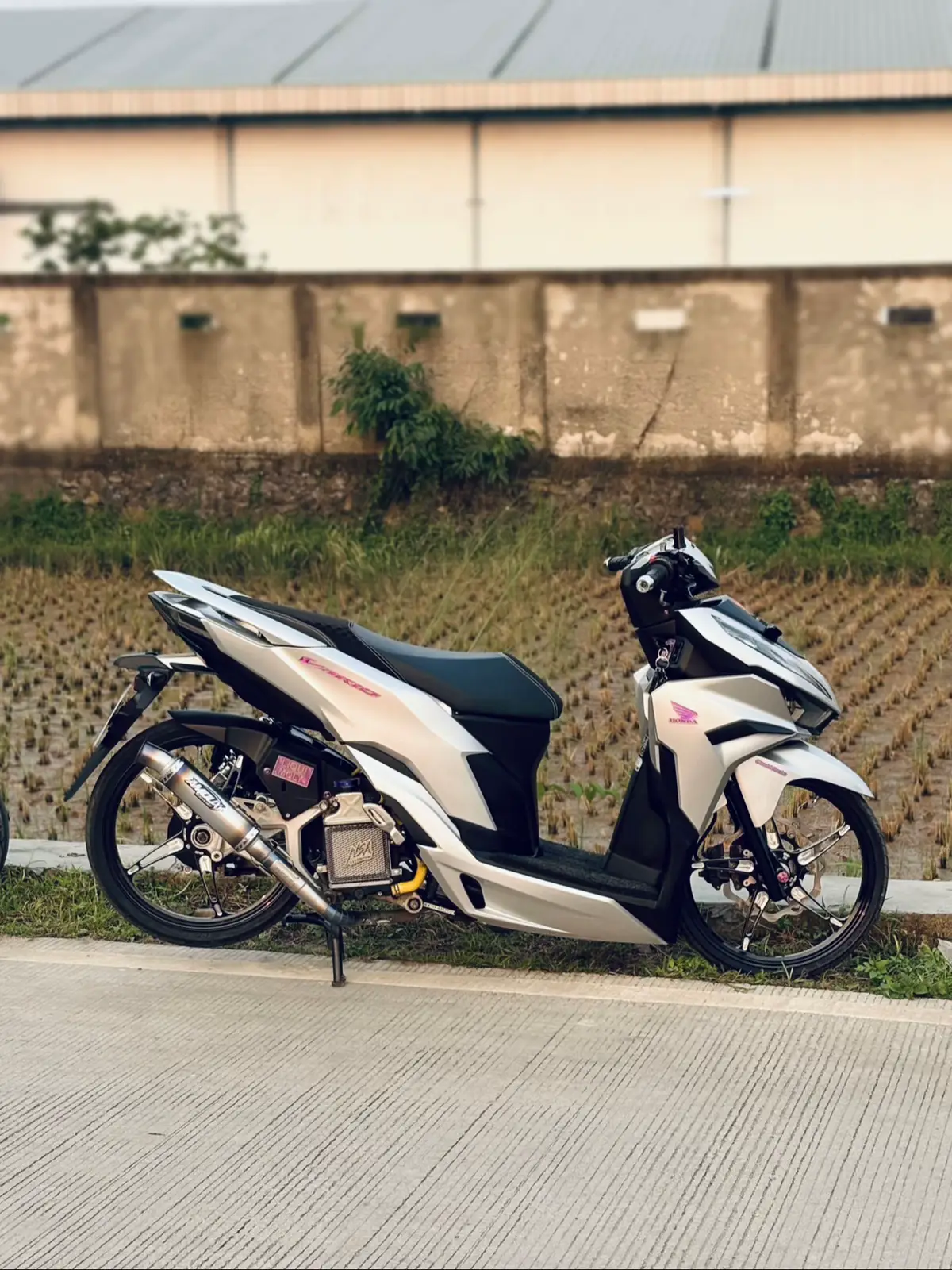 #vario #scootregency 