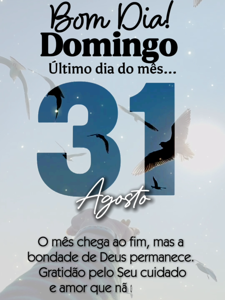 🙏Bom Dia Domingo a totos  #palavra #reflexaododia #Deus #Motivacional 