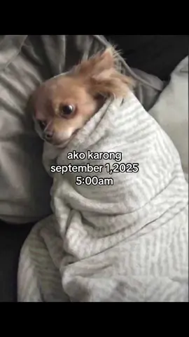 #september1st #monday #firstdayofthemonth #fyp #relatable 