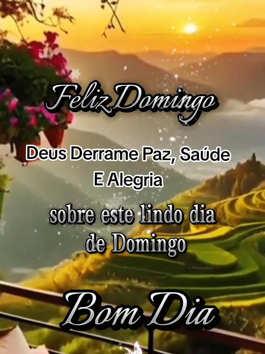 Bom Dia! Feliz Domingo ☀️  #Bomdia #Felizdomingo #deusabencoevoce #Paz #Saude 