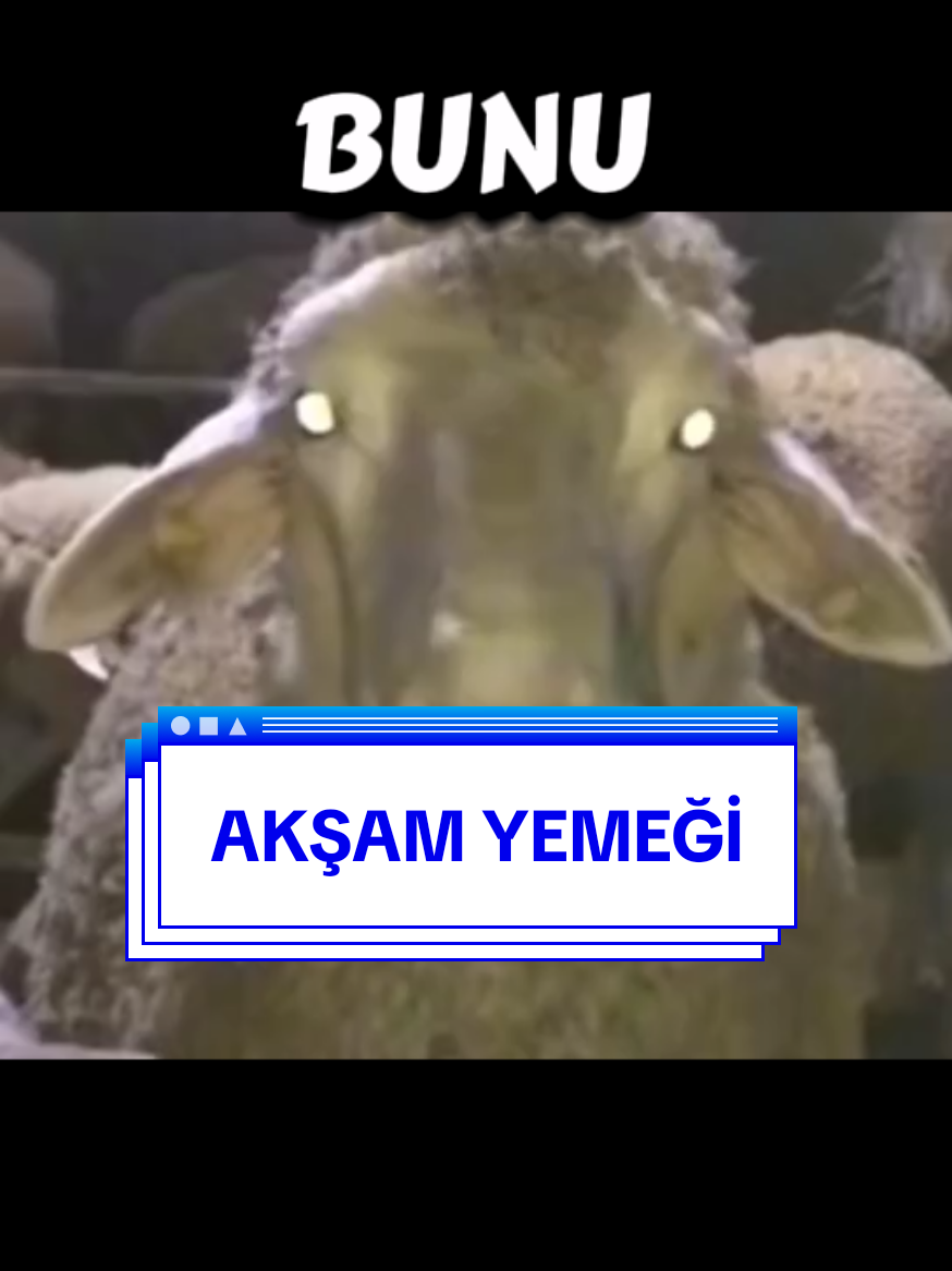 akşam yemeği#vital #viralvideo #112 #trend #vitality @Gönül Dostları 2 