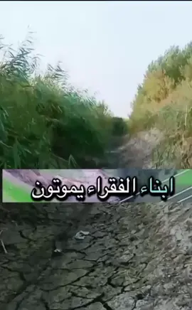 #اكسبلور #اكسبلورexplore #fypシ゚viral #fyp #fypage 