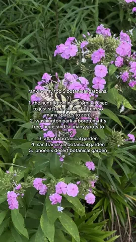 top 5 must see gardens imo #botanicalgarden #thehuntington #nature 