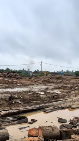 menutup agustus #logingkalimantan #wheeloader #kayulogkalimantan 