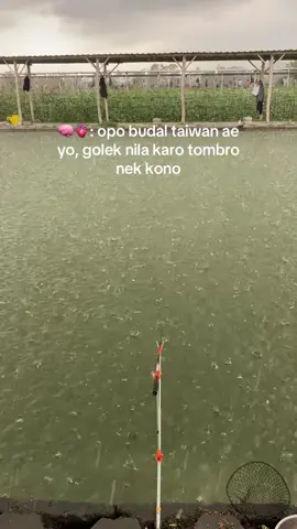 wes buntuuu makk🥲 #mamifish #malangmicrofishing #mancing #beranda #fyp 