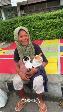 Adorable cats #fragments #randomvideo #aesthetic #cat #kucing 