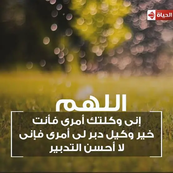 اللهم اني وكلتك امري فانت خير وكيل ودبر لي امري فاني لا احسن التدبير. سبحان الذي لا تطيب الدنيا الا بذكره و لا تطيب الاخرة الا بعفوه سبحان الله وبحمده سبحان الله العظيم #يارب❤️ #اللهم_صلي_على_نبينا_محمد #قرآن_كريم_أرح_قلبك_وسمعك 