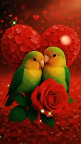 Have a Great Day💖💞💝🎸🎹🎶🎼