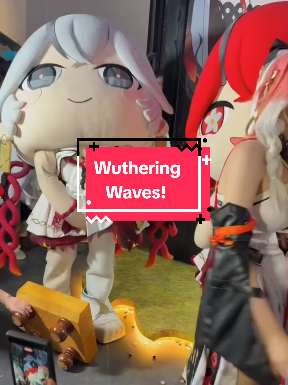 After Rematch Camellya Mascot VS Changli 😹 Source: Evenly Vermilion (FB) #WW #WuWa #WutheringWaves