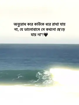 অনুরোধ করে কাউকে ধরে রাখা যায় না, যে ভালোবাসে সে কখনো ছে'ড়ে যায় না