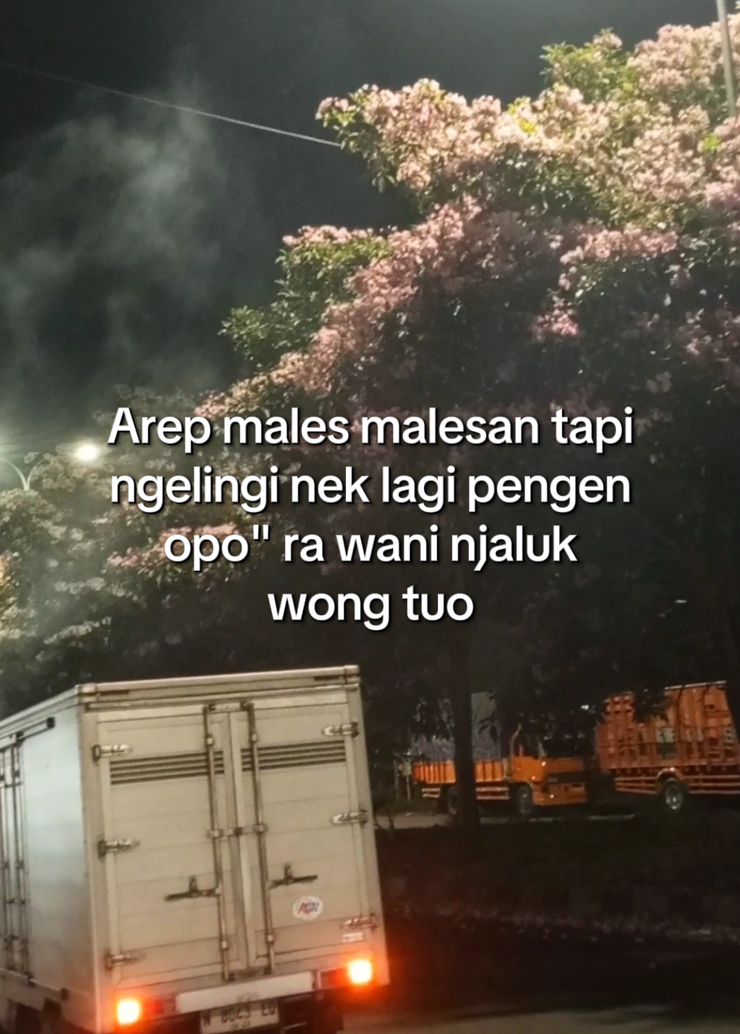 Adus ra kolu  #anaktunggal  #fyp #jowostory #malang24jam  #dprbabi 