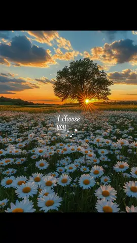 #lovequotes #lovequote #quoteslove 