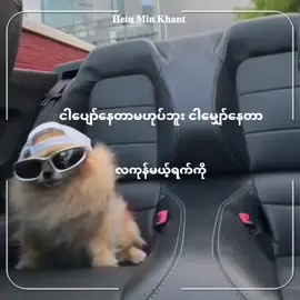 #မပျော်နိုင်ဘူး😔😔😔  #fyp #tiktokmyanmar #fypviraltiktok🖤シ゚☆♡ #viweတက်စမ်း 