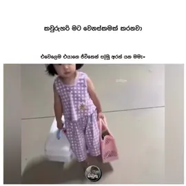 😂😂