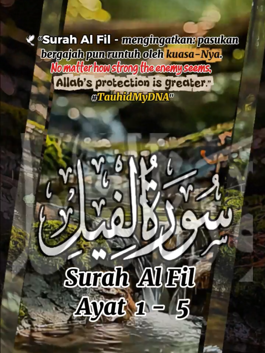 Surah Al Fil, Beautiful. Follow..Like..Share🤍🫶 “Sampaikanlah dariku,  meskipun satu ayat.”  (HR. Bukhari no. 3461) #bismillah#islam#quran#fyp #trending 