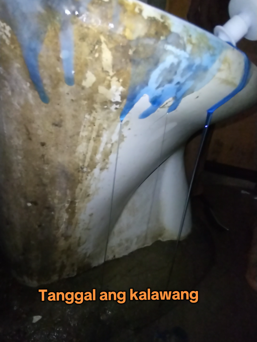 Replying to @em06_07_94jhay  Yes mi pag ito gamit mo #toiletbowlcleaner #toiletcleaner #shineprotoiletcleaner 