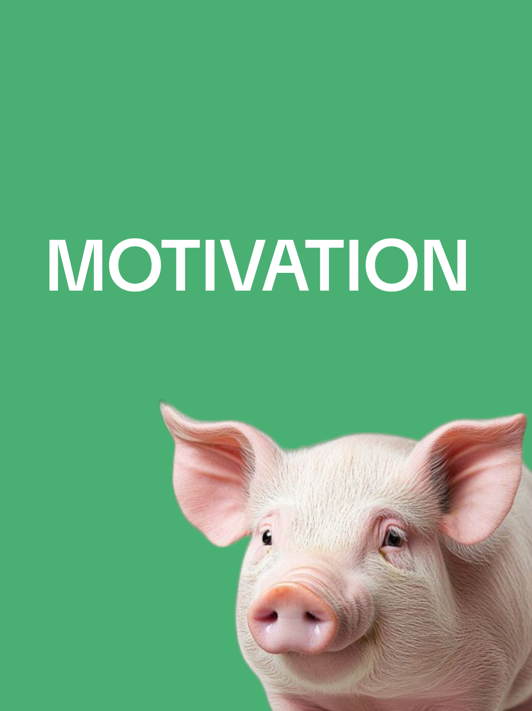 Your piggery Bussiness motivation for today!!#piggerybusiness #motivation #piggeryfarm #farmingbussinessphillipines 