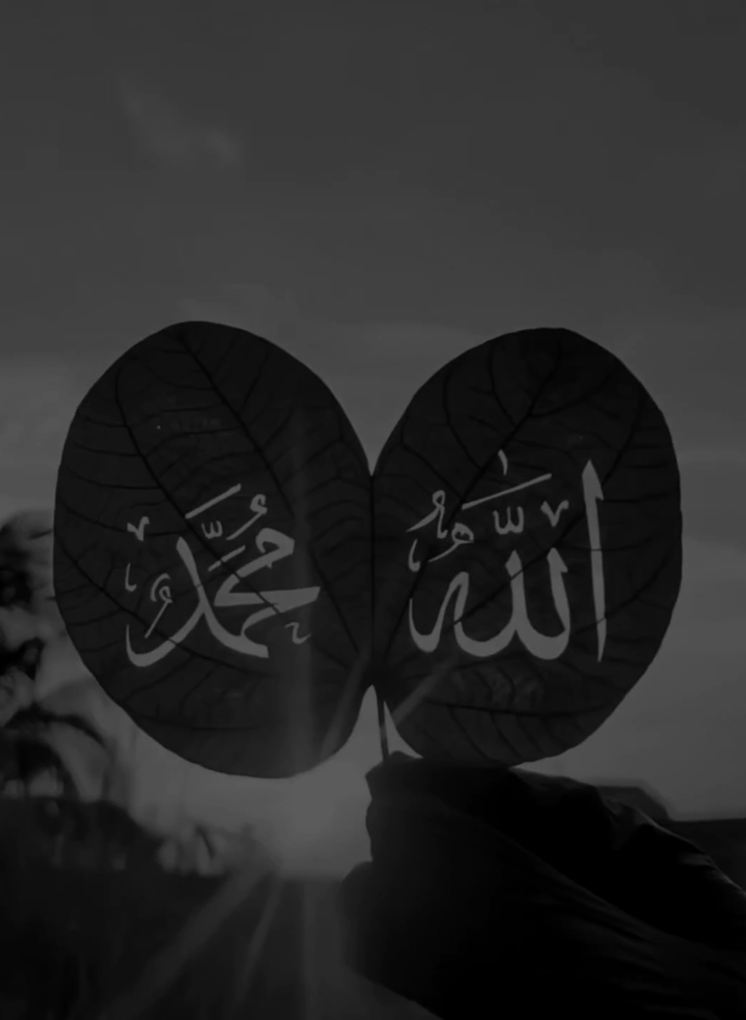 🎧🖤🌸🥺 . . . . . #blackedits #darkkvibes1 #blackaesthetic #makemefamous #nasheed #islam_information #foryoupage #beautyofkaaba #Allah #fyp #upar #urde_x #goviral #islamicnasheed #foryou #fyp #islamicstatus #goviral #islamic_video 