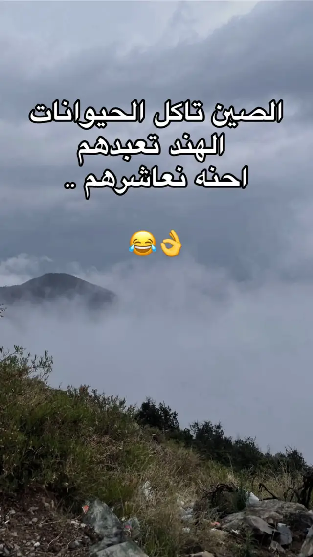 #explorepage 
