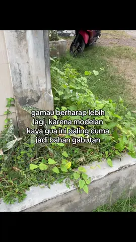 #galaubrutal 
