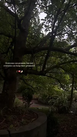 Do not promise, If you ever can’t keep it for real. Trust me it might be very easy to break the promise, but the person who trusted your words will get traumatized because your just breaking the promises which she trust for her whole life!!!!  #fypシ゚viral #fyppppppppppppppppppppppp #trending #fypage #viral #loyalty #goviral #Love #foryoupage❤️❤️ #fucklove #onlylovecanhurtlikethis #toxic #deservebetter #breakup #depresion #trauma #breakingbad #promises #bereal 