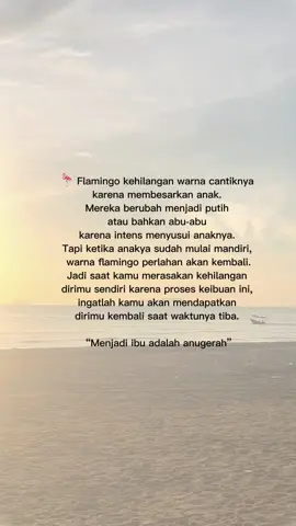 #iburumahtangga #quotes #CapCut #fyppppppppppppppppppppppp 
