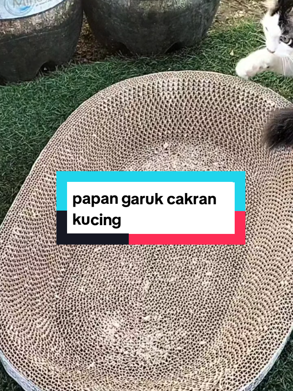 papan garuk kucing! 🐾 Awet & tahan lama 🐾 Bikin kucing happy 🐾 Rumah tetap rapi #papangarukkucing  #papangarukankucing  #papangarukanmultifungsi  #papangarukananabul  #tempatcakarkucing 