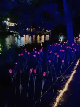 tenang dan damai                   #taman #malam #estetik #viraltiktok #fypシ゚ 