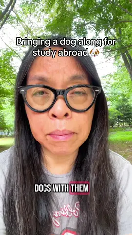 Bringing a dog along if you study abroad may not be worth the effort ruh roh #fyp #highereducation #internationalstudent #studyabroad #dog 
