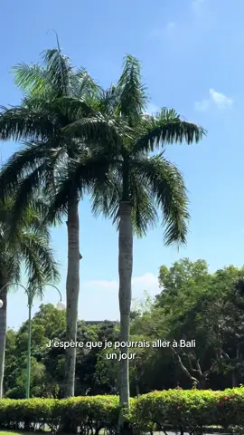 Toi aussi tu rêves de venir à Bali? 🌞🩷🪸 J’ai créé le guide que j’aurais rêvé d’avoir en arrivant ici pour 9.99€ seulement : * Mes adresses secrètes & coups de cœur * Des hébergements testés (hostels, guesthouses, hôtels & villas) * Des idées d’activités ville par ville * Des itinéraires complets (1 à 4 semaines) selon ton profil : solo, couple, famille, amis… Ce guide, c’est bien plus qu’un carnet d’adresses : c’est une façon de vivre Bali avec profondeur & authenticité. Bonne lecture… et surtout, bon voyage dans ce coin de paradis 🌞🏄‍♀️🪸🌴🌺 👉 Retrouve-le dans ma bio ! #bali#baliguide#ubud#uluwatu#canggu