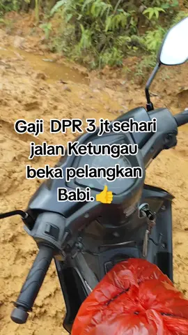 Infrastruktur terabaikan Jawaban Semua pejabat Efisiensi Anggaran